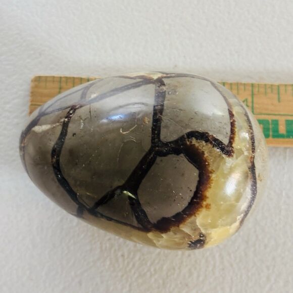 Stunning Septarian Dragon Quartz Crystal Geode Egg Stone Collectors Art Gift - Picture 13 of 14